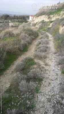 20180207_115134.jpg